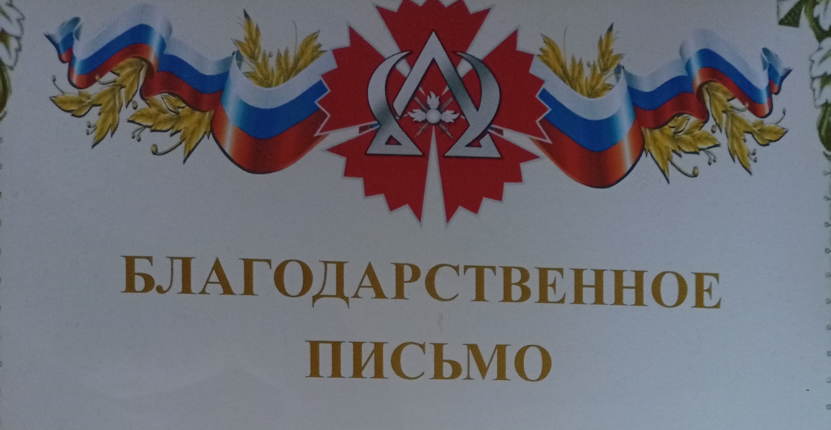 За оказанную помощь в проведении воспитательной работы среди военнослужащих и добровольцев, принимающих участие в СВО