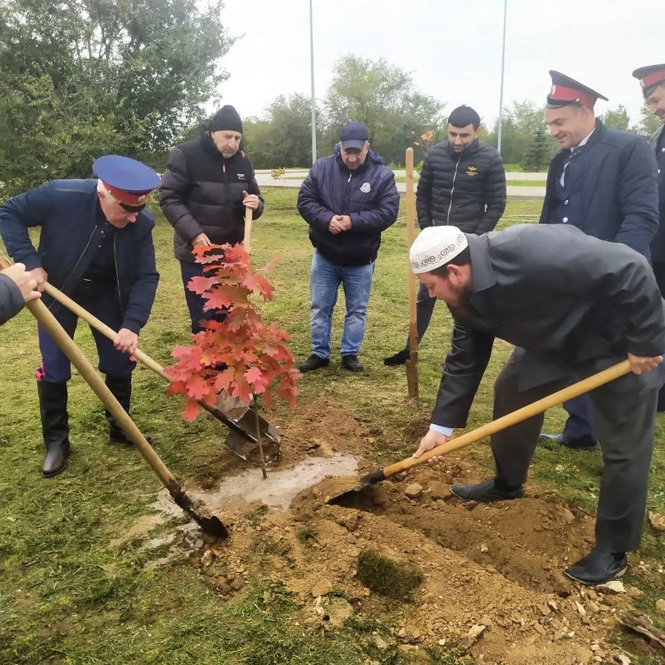 «Аллея Дружбы»